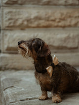 Silk Maple Wooden Bow Tie & Cufflinks Set