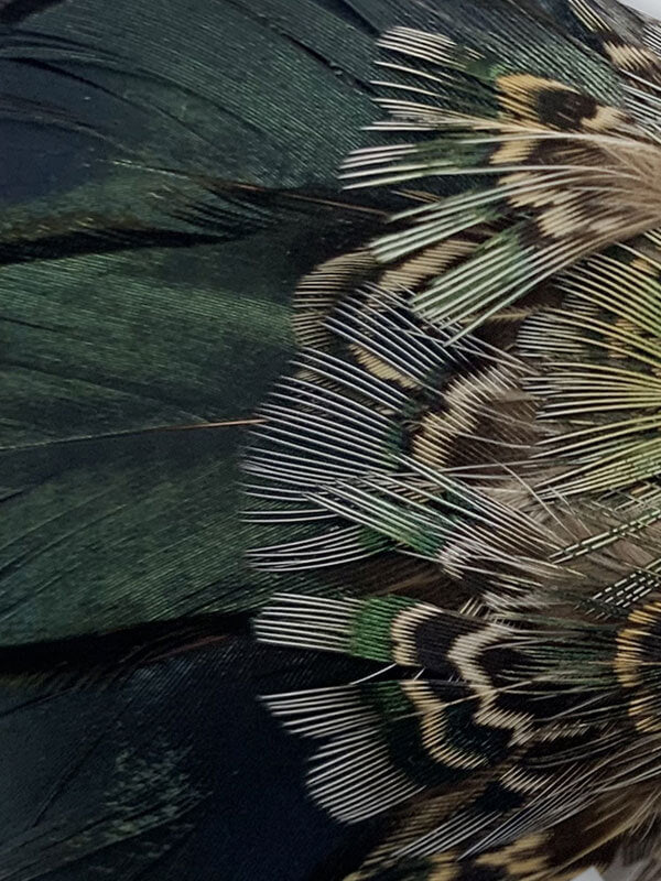 Feather Bow Tie - Moss Green