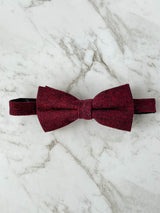 Paisley Circles Burgundy Wool Bow Tie Set