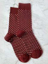 Paisley Circles Burgundy Wool Bow Tie Set