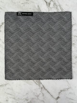 Voyage of the Vikings Silk Bow Tie Set