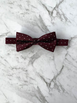 Voyage of the Vikings Silk Bow Tie Set