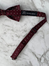 Voyage of the Vikings Silk Bow Tie Set